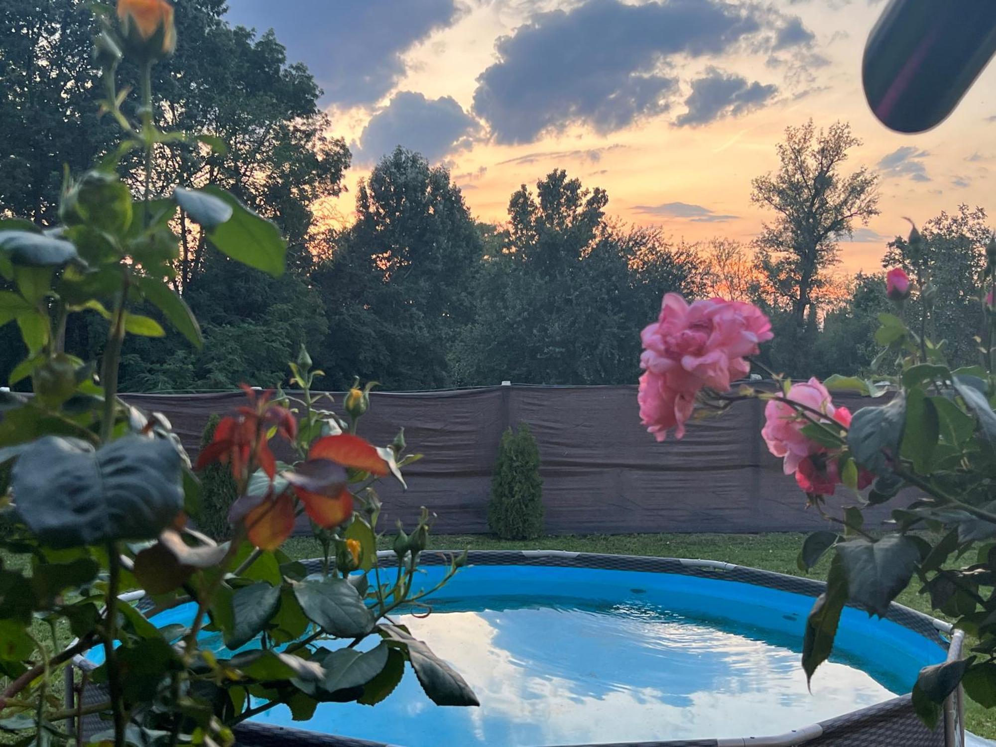 Arany Vendeghaz Villa Szarvas Exteriör bild