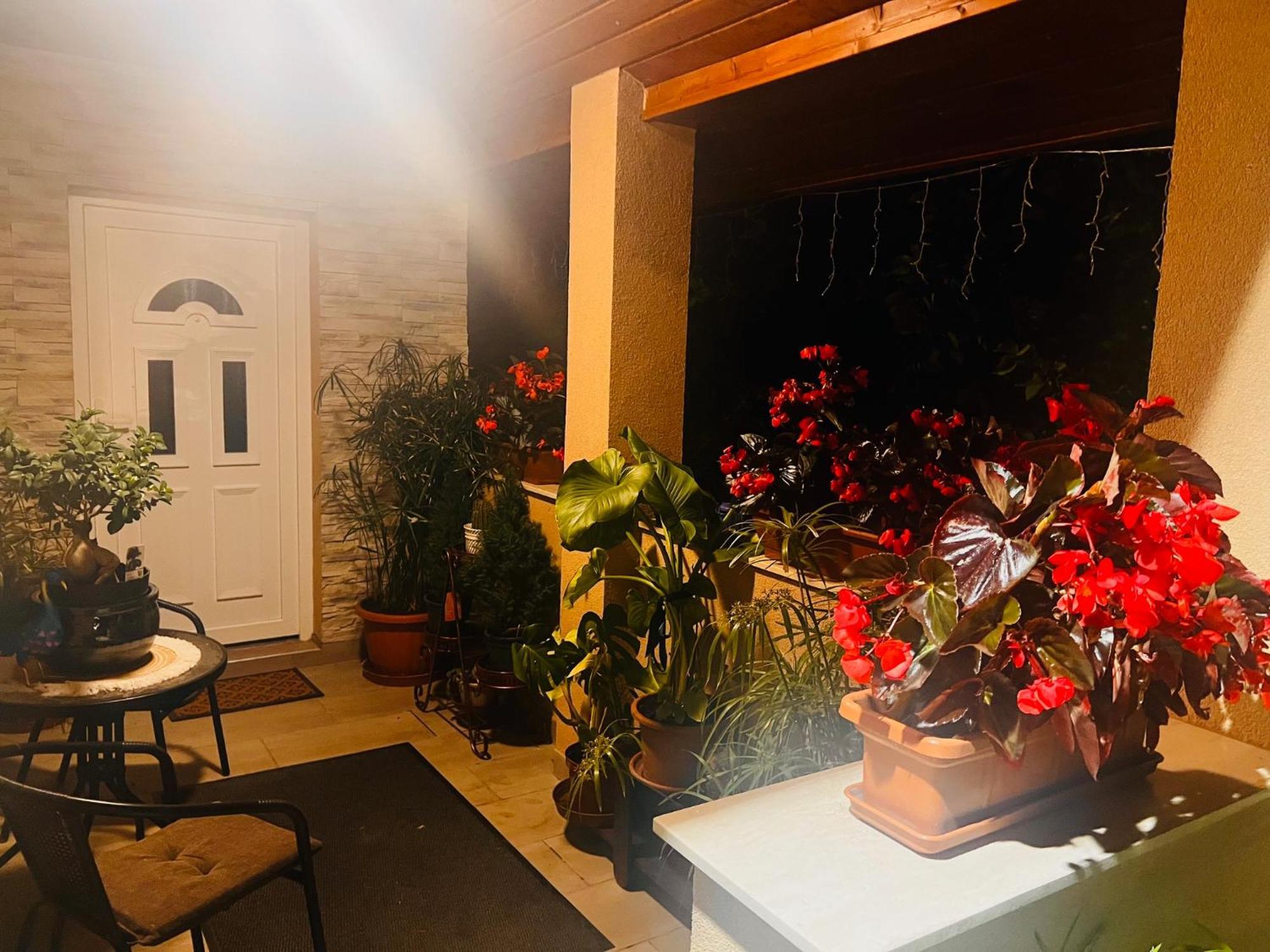 Arany Vendeghaz Villa Szarvas Exteriör bild
