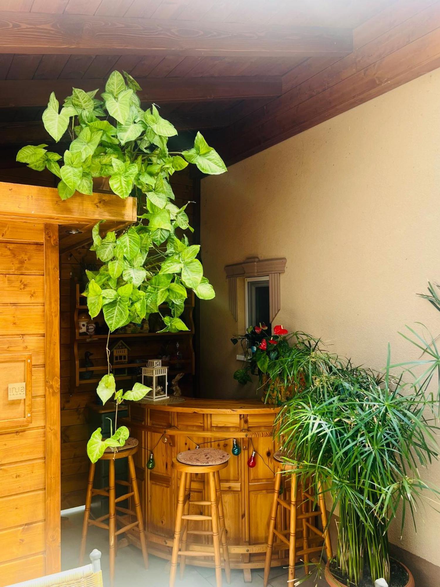 Arany Vendeghaz Villa Szarvas Exteriör bild