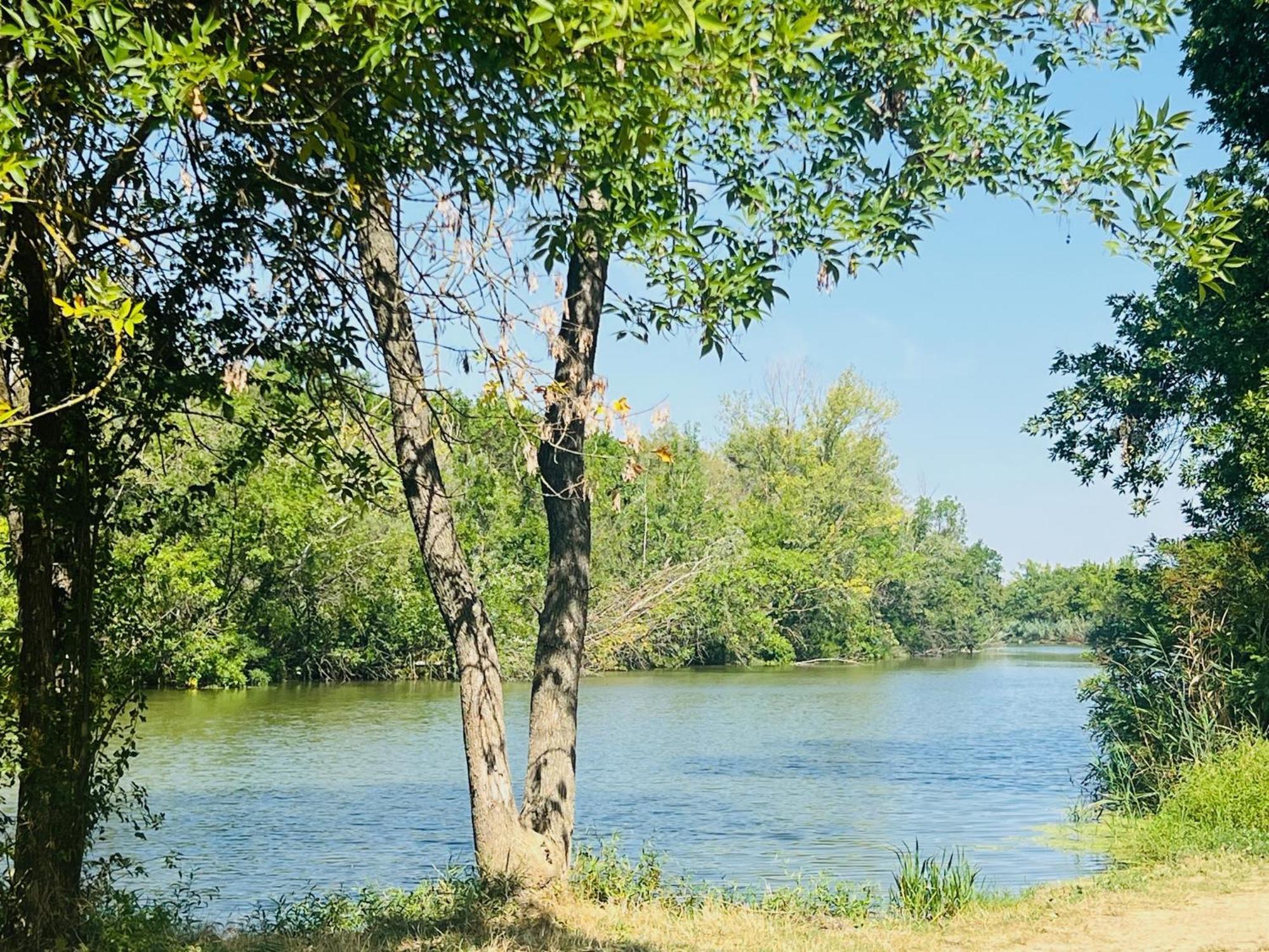 Arany Vendeghaz Villa Szarvas Exteriör bild