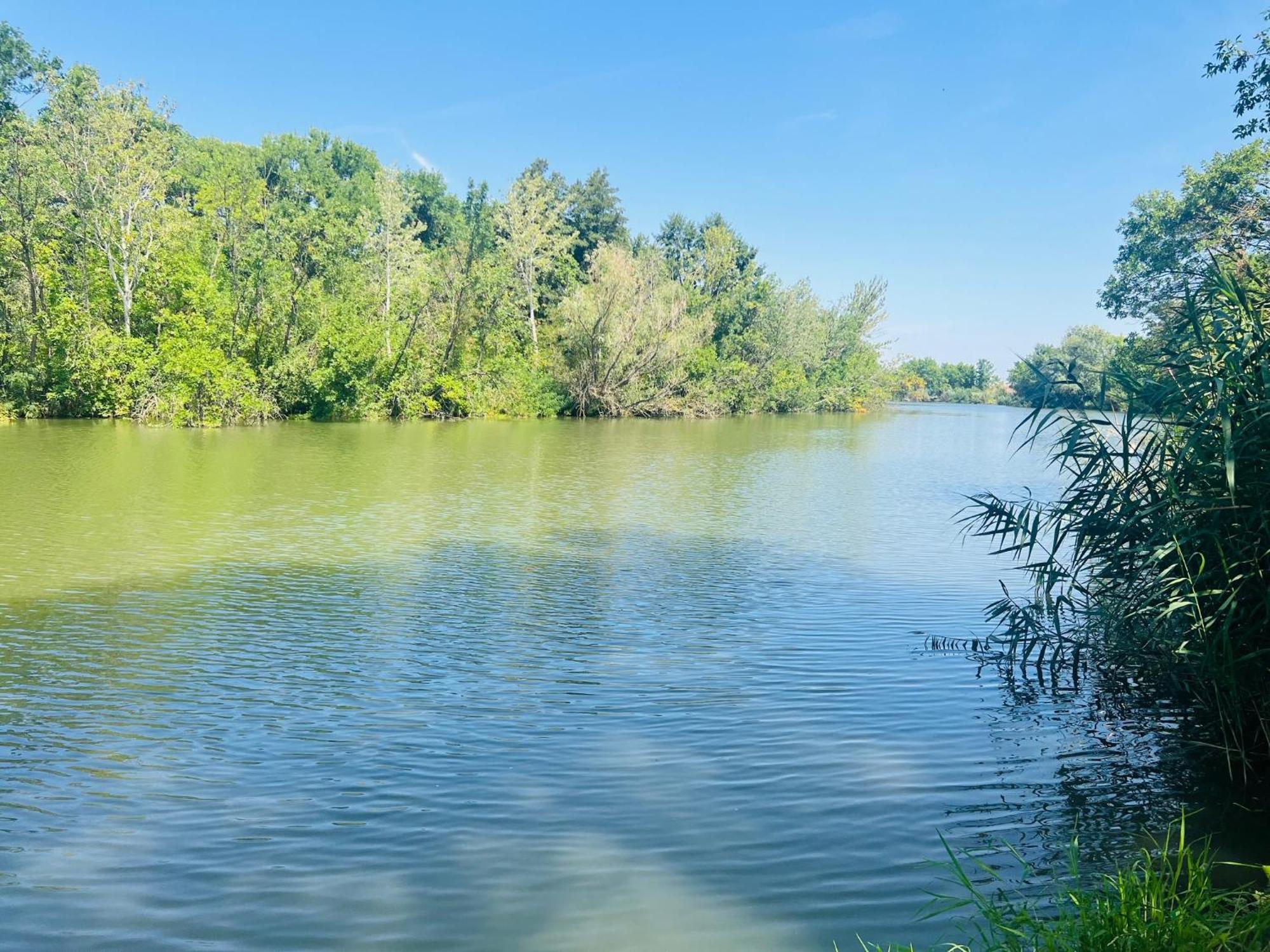 Arany Vendeghaz Villa Szarvas Exteriör bild