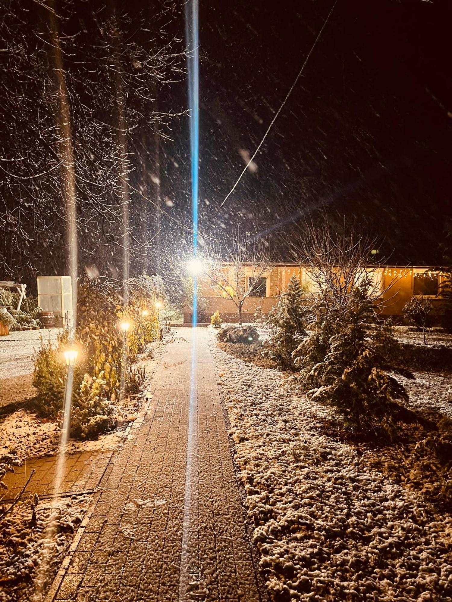 Arany Vendeghaz Villa Szarvas Exteriör bild